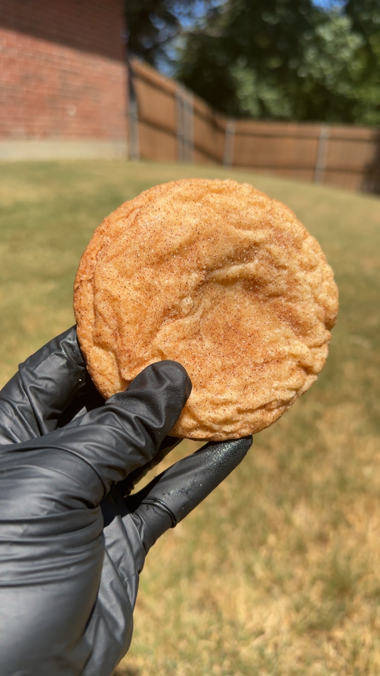 Miss Snickerdoodle